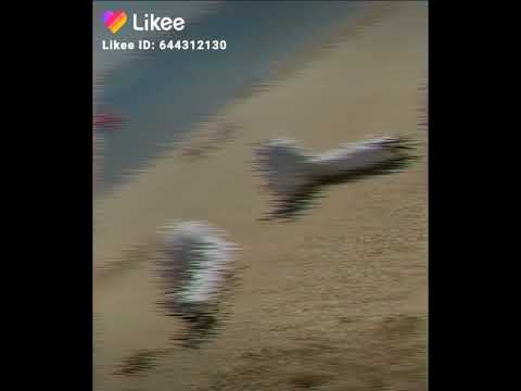 انا العملاق وانتو متبينوش