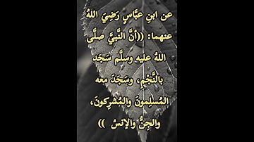 السورة التي سجد فيها الجن والمسلمون والكافرون