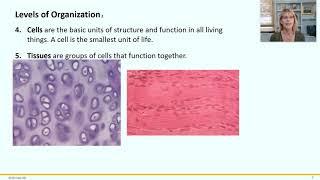 Physiology 1 - Basic Concepts
