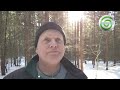Dispenza säger om gående meditation