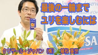 花を長く楽しむには