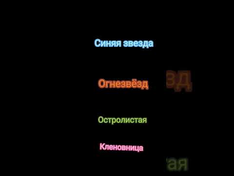 Коты-Воители || Голоса