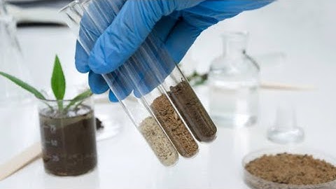 procedure for, "how to take  soil sample from apple orchards"