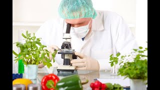 Gıda Mühendisliği İş İmkanları Ve Maaşları Hakkında Bilgi