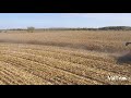 Corn harvest 2017 case ih 6140