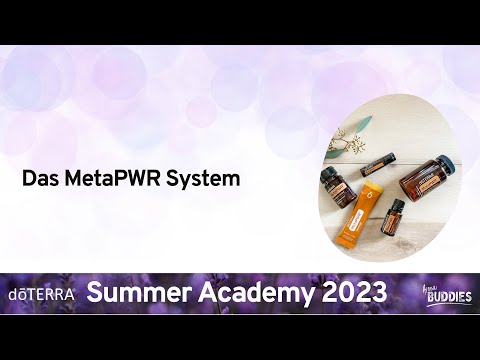 Das MetaPWR System - Alexandra Nitsche