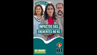 MINUTO HF: Produção de HF no Rio Grande do Sul tem perdas e pode afetar próxima safra