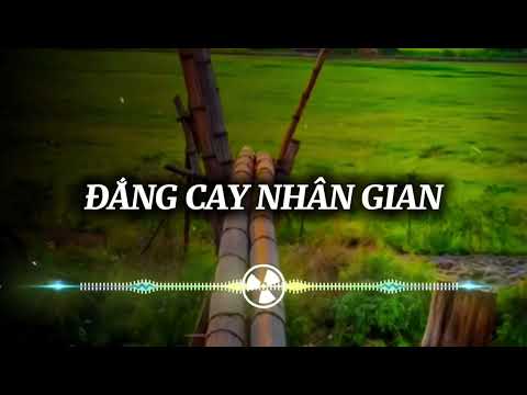 Người Lạc Giữa đêm Sâu Nghe Cuối Phố ĐẮNG CAY NHÂN GIAN