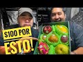 🍌 Las FRUTAS MÁS caras del MUNDO | Los verdaderos precios en JAPON