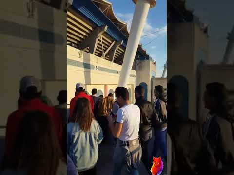 جمهور الإفريقي و بية الزردي 