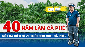 40 năm làm cà phê - Chú Khê rút ra điều gì từ tưới nhỏ giọt | Khang Thịnh - Netafim