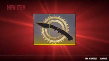 Opening 20 Gallery Cases CS2  (Gold Pull!!)