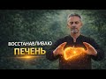 ПЕЧЕНЬ 50+ | ВОССТАНОВЛЕНИЕ ДВИЖЕНИЯ ЭНЕРГИИ В ПЕЧЕНИ