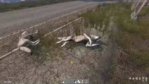 DayZ 0.63 new animations/gunplay/offline gameplay