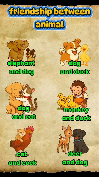 friendship between animals part 2 #shortsviral #shortsusa #cat #dogs