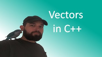Vectors in C++