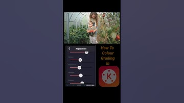 How to Colour Grading in Kinemaster #shorts #editing  #colorgrading