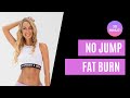 No Jump Fat Burn