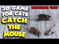 3d game for cats  catch the mouse isometric view