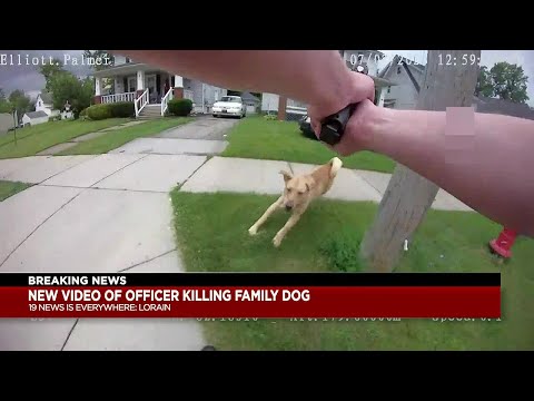 Lorain Police release bodycam of family’s pet dog shot and killed by officer