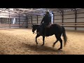 will circles improve your horses steering?