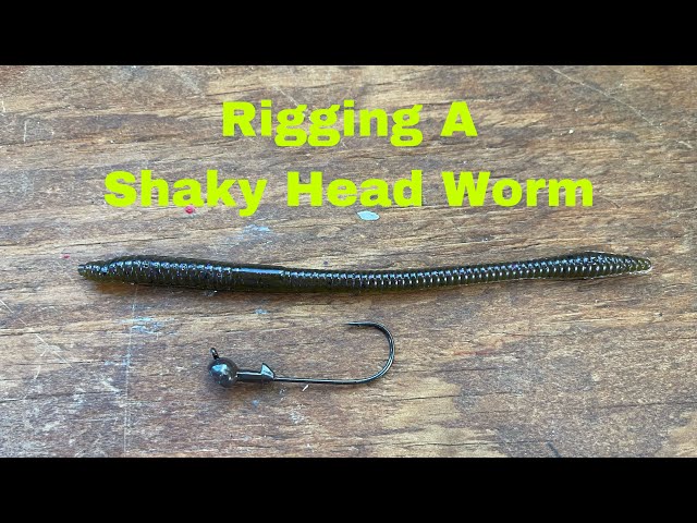How To Rig And Fish A Shaky Head Worm 