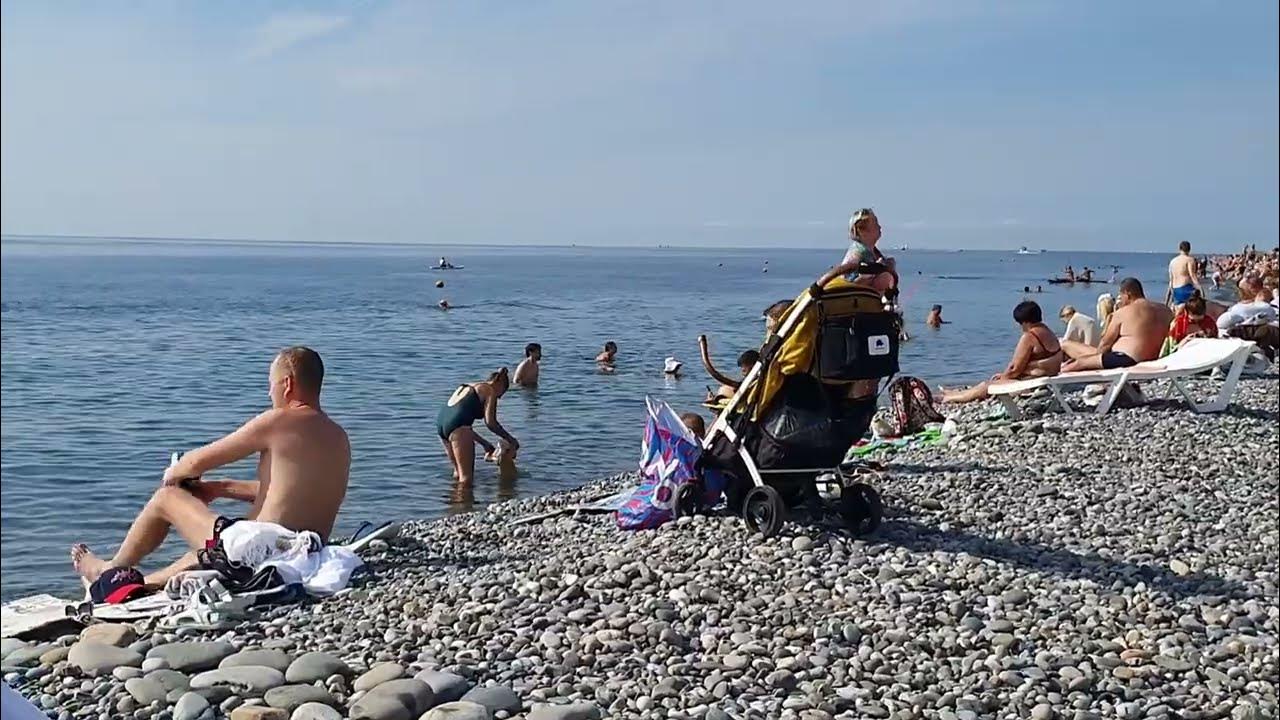 Сочи в октябре отзывы отдыхающих. Дендрологический парк адлер. Сочи в октябре отзывы отдыхающих. Сочи в октябре отзывы отдыхающих. Сочи в октябре отзывы отдыхающих.