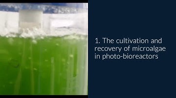 Microalgae to Energy