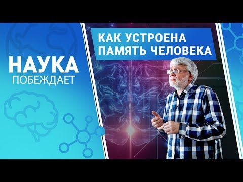 Память человека: как мозг сохраняет информацию | Наука побеждает