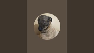 Birlik Lokması Döküyoruz Varmısınız Sizde 05342509399