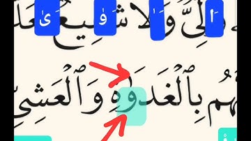 الصفحة 133 من المصحف الشريف 🔻دقيقة للتجويد🔻- أنواع الألف المدية - (بِالْغَدَاةِ وَالْعَشِيِّ