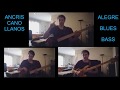 Ancris   alegre blues bass