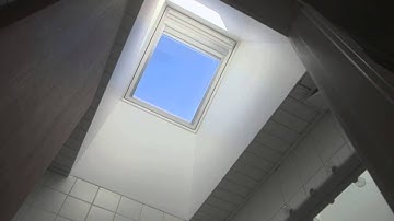 Impact of daylight on humans