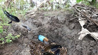 Great New Ideas Fish Trap 2017 - Amazing Fishing In Hole That Worked 100% Get A Lot Fish
