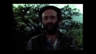Vacas (1992)