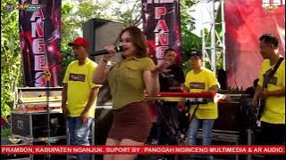 NEMEN - MINTUL WOKO CHANNEL - THE PANGESTU - Live Dsn.JEBEN Ds.SANGGRAHAN Kec.PRAMBON