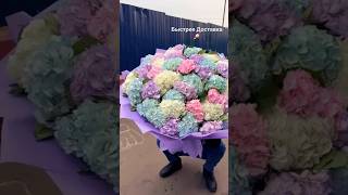 51 гортензия доставка цветы по Москве и Московская область +7 985 694 89 84 WhatsApp и Telegram