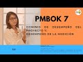 (S21) |Dominio de Desempeño del Proyecto 7: Desempeño de la Medición