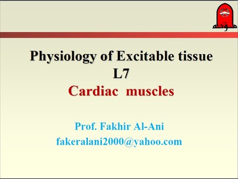 Physiology - cardiac muscle - YouTube