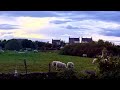 ##sky #clouds #sheep