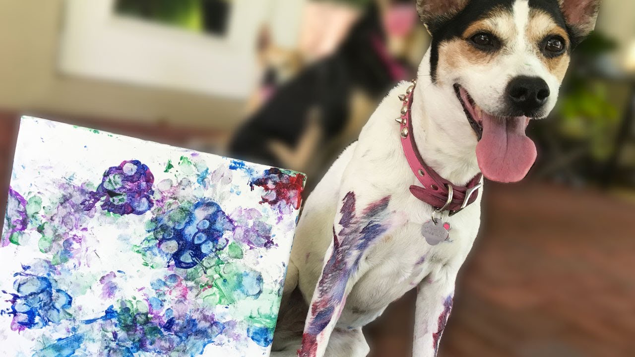 AMAZING DOG THAT CAN PAINT! YouTube