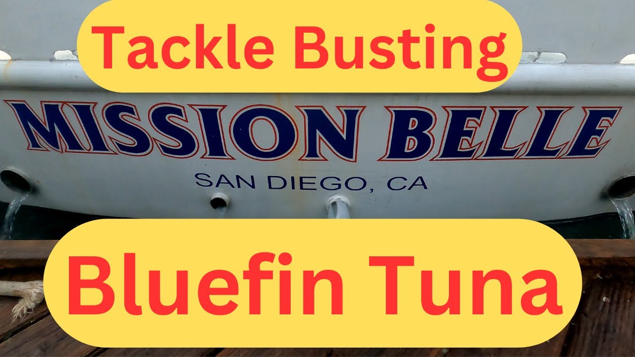 Mission Belle Bluefin Tuna Fishing Point Loma Sportfishing San Diego Ca