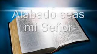 Video thumbnail of "ALABADO SEAS MI SEÑOR, EN CRISTO JESÚS"