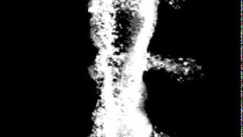 Neural Crest Migration