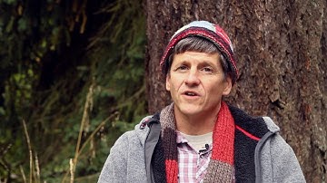 Bird Language - 5 Voices of the Birds.