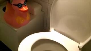 Rubberduckus and the automatic toilet