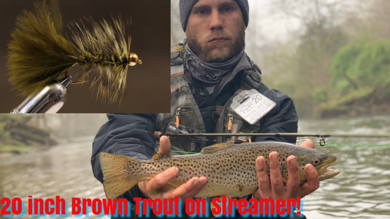 Big Stocked Brown Trout on Streamer! YouTube