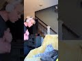 Do yall also serenade your cat? #cats #dance #fyp