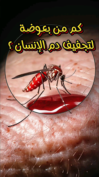 حقائق مذهلة عن البعوض:🦟 كم بعوضة تحتاج لتجفيف جسمك؟😱