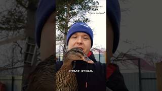 Кольцевание уток. Нагавки для уток. #Охота #Hunting #Охотники #ОхотничьиИстории #Оружие #Природа